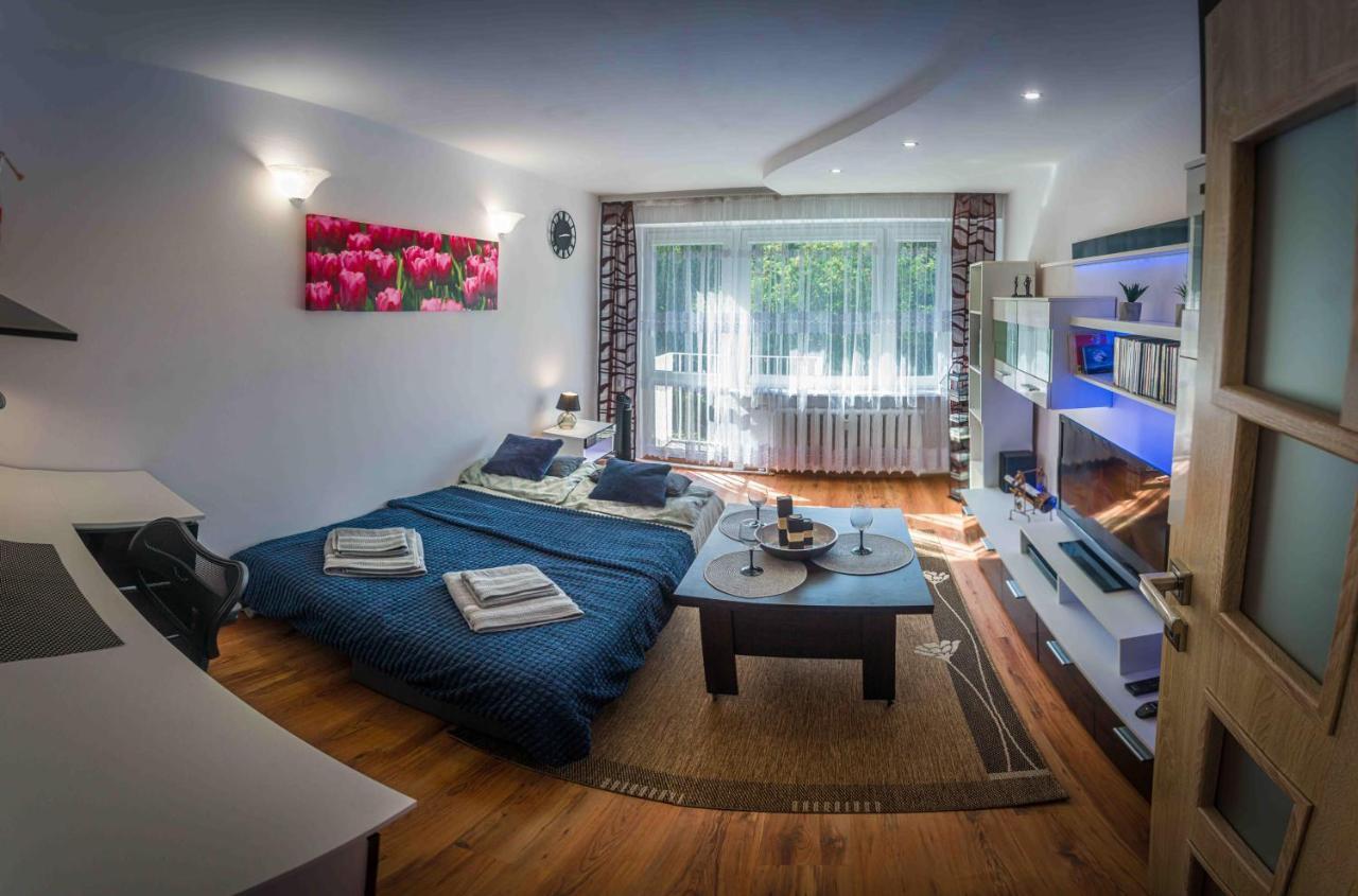 Komfortowy Apartament Seven niedaleko centrum Lejlighed Olsztyn  Eksteriør billede